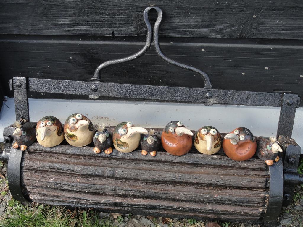 Penzion Pod Zeleznym Vrchem Chřibská Rum bild